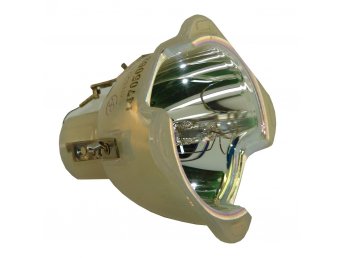 TOSHIBA TDP TW300 Original Bulb Only