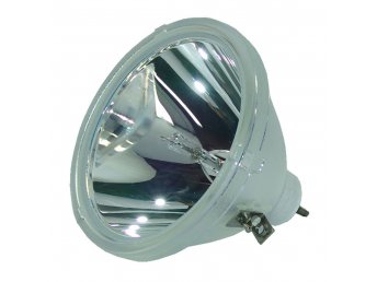TOSHIBA TLP 510 Originele Losse Lamp