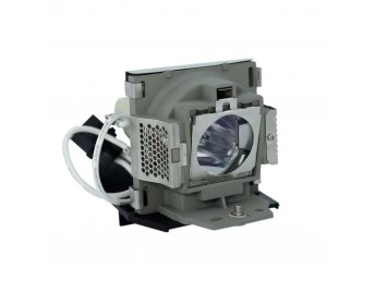 VIEWSONIC PJ513D Modulo lampada proiettore (lampadina originale all'interno)