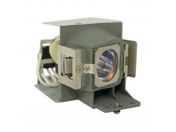 VIEWSONIC PJD6653WS Module de lampe de projecteur (ampoule d'origine à l'intérieur)